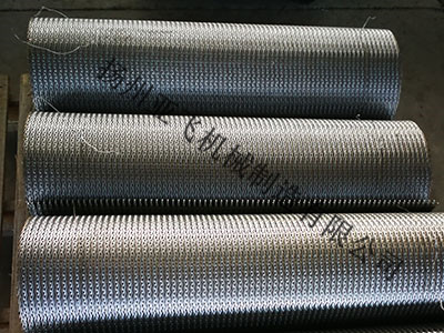 耐高温网带图片4